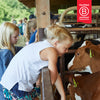 Cabot is a Certified B Corporation